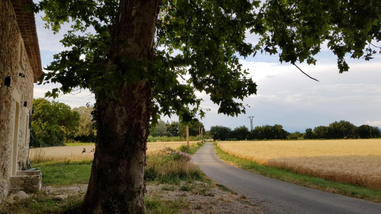 Maison Au Calme En Campagne Climatisee Caderousse Екстериор снимка