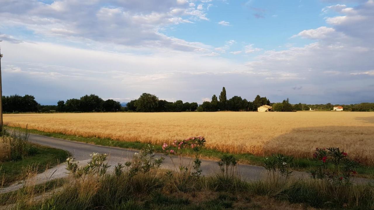 Maison Au Calme En Campagne Climatisee Caderousse Екстериор снимка